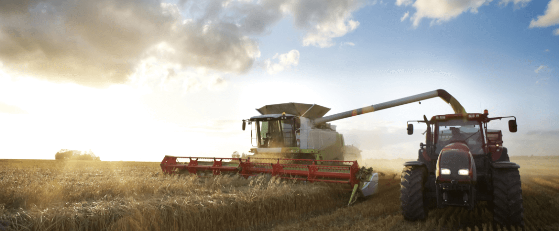 Combine harvesting in field with tractor